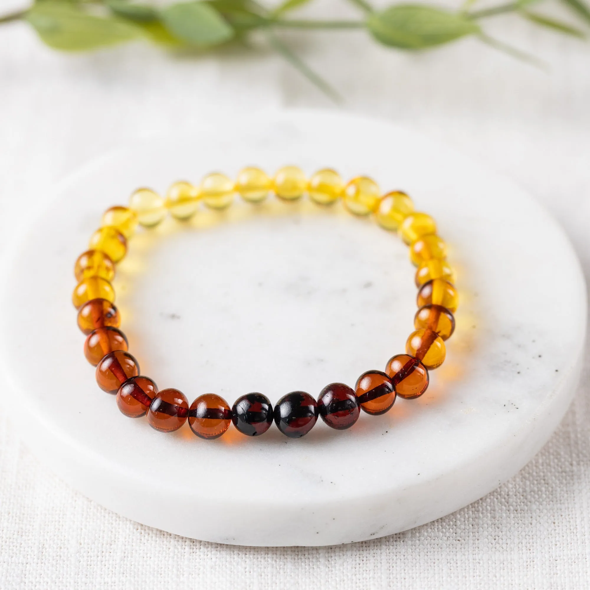 Adults | Ombre Baltic Amber Bracelet