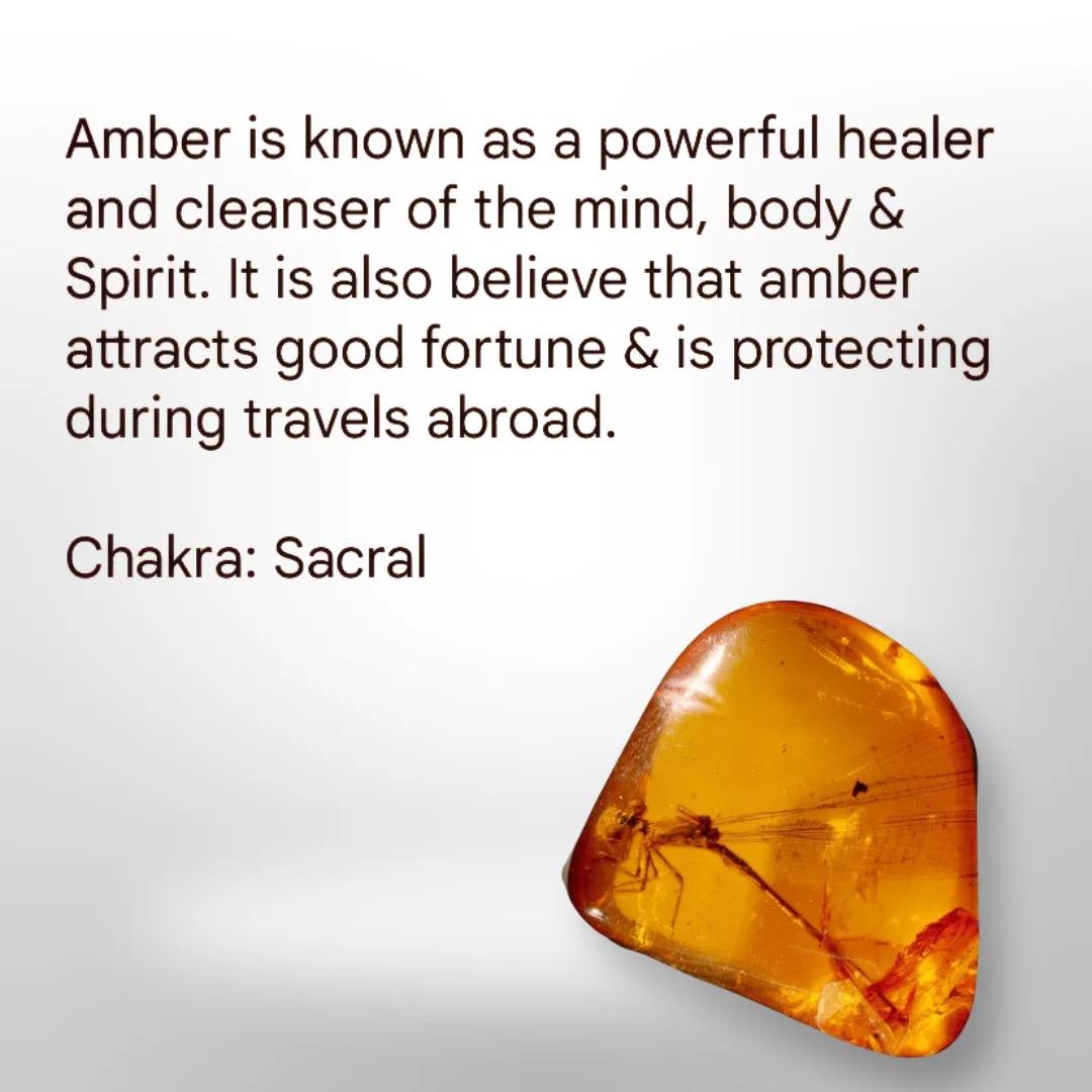 Amber - Necklace