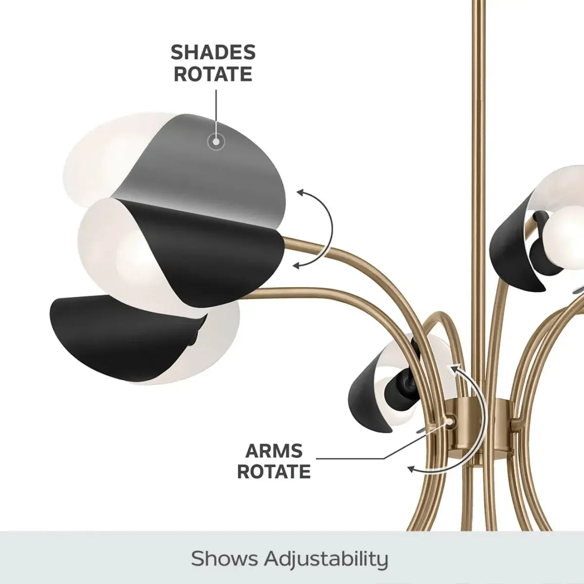 Arcus 39 in. 6 Lights Chandelier Champagne Bronze Finish with Black shade