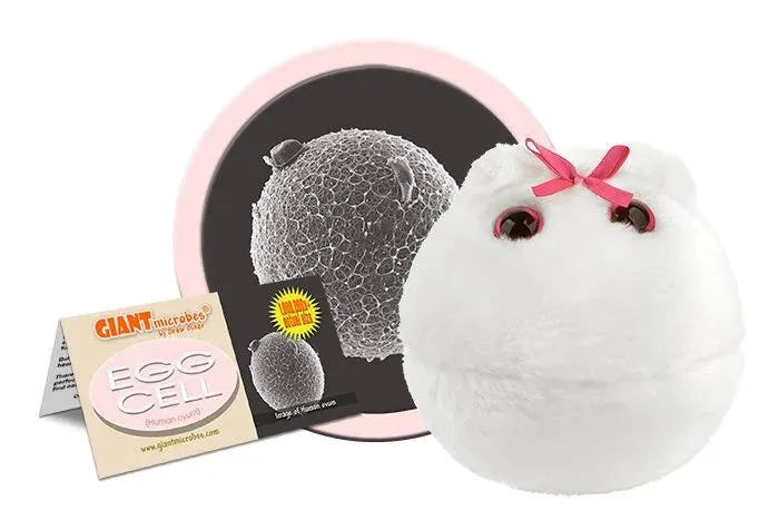 Egg Cell (Human ovum) Giant Microbes Plush