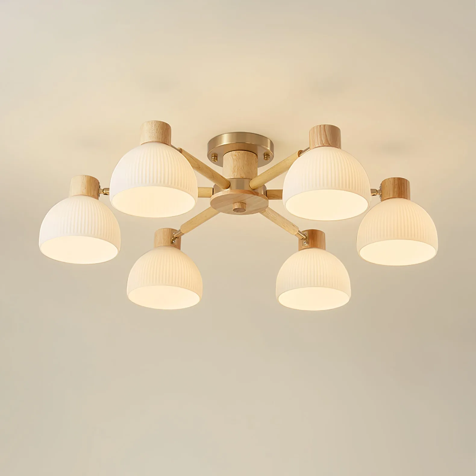 Flared Ceiling Light