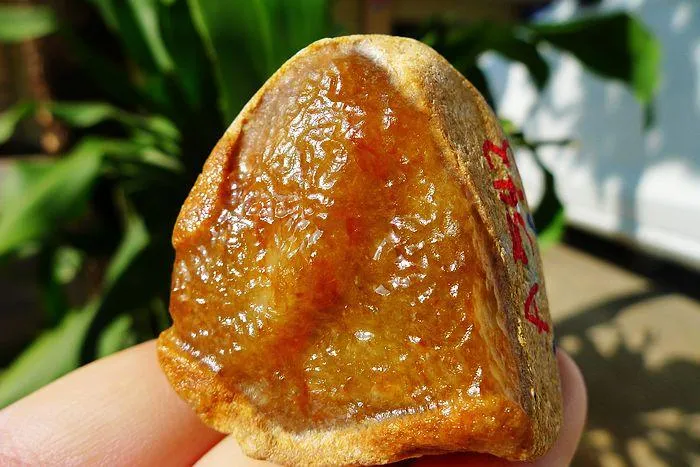 Natural Jade Rough Jadeite Raw (125g,4.5X3.9X4cm)