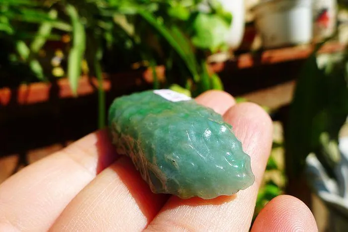 Natural Jade Rough Jadeite Raw (20g,5.1X2.3X0.9cm)