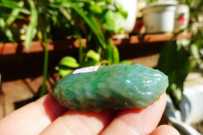 Natural Jade Rough Jadeite Raw (20g,5.1X2.3X0.9cm)