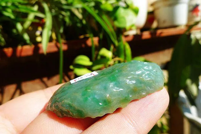 Natural Jade Rough Jadeite Raw (20g,5.1X2.3X0.9cm)