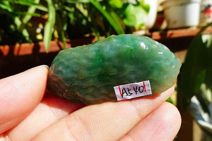 Natural Jade Rough Jadeite Raw (20g,5.1X2.3X0.9cm)